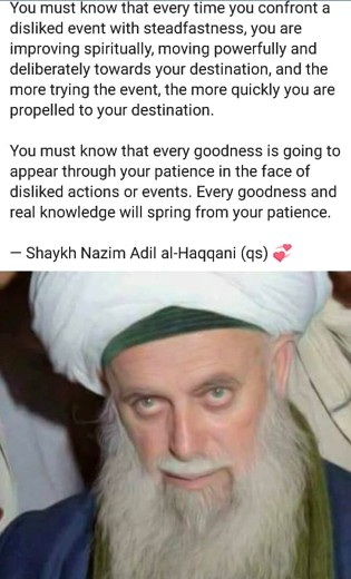 Patience in the Face of Disliked Events